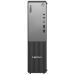 LENOVO - Desktop Lenovo 13FK001KIX THINKCENTRE NEO 55s Gen 6 Raven black