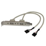 Startech.Com - StarTech.com Adattatore piastra slot USB A femmina 2 porte, 2 x IDC, 2 x USB A, 0,286 m, Argento