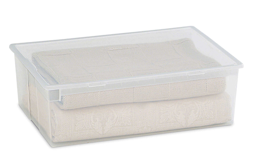 Terry Store-Age Scatola Leggera Trasparente con Coperchio XL