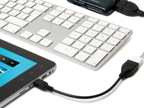 Hamlet Cavo Exagerate Zelig Pad Cable adattatore da mini usb ad usb femmina