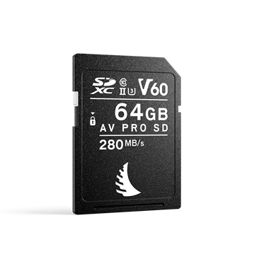Scheda di memoria Angelbird AVP064SDMK2V60 AV PRO Uhs Ii Card