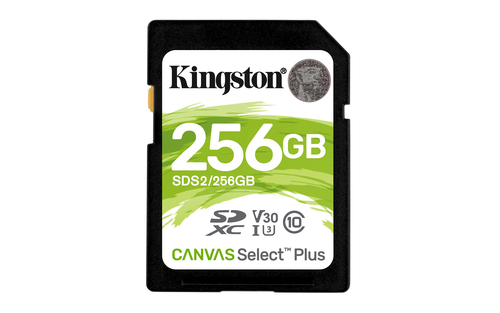 Kingston Technology Canvas Select Plus memoria flash 256 GB SDXC UHS-I Classe 10