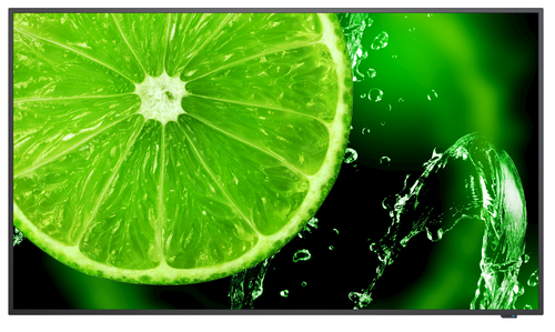 NEC MultiSync E658 165,1 cm (65