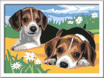 Ravensburger CreArt Jack Russell Puppy Colore per kit di verniciatura in base ai numeri