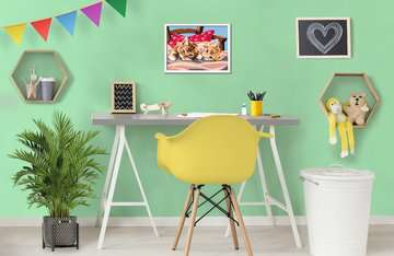 Ravensburger CreArt Two Cuddly Cats Colore per kit di verniciatura in base ai numeri