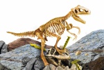 Lisciani - Lisciani I'm a genius super kit T-Rex, Kit di scavo, Paleontologia, Ragazzo/Ragazza