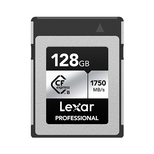 Scheda di memoria Lexar LCXEXSL128G RNENG SILVER