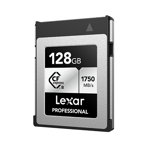 Scheda di memoria Lexar LCXEXSL256G RNENG PROFESSIONAL Silver e Black
