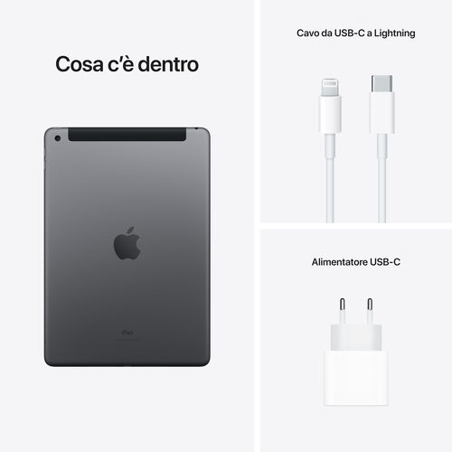 Apple iPad 10.2-inch Wi-Fi + Cellular 256GB - Grigio siderale