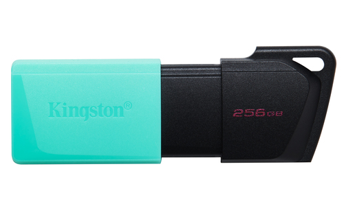 Chiavetta USB Kingston DTXM DATATRAVELER Exodia M Green e Black Green 