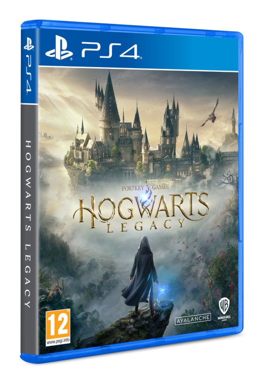 Videogioco Warner 1000818850 PLAYSTATION 4 Hogwarts Legacy