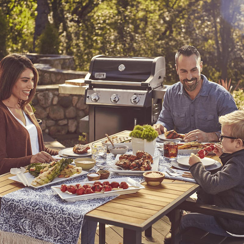 Barbecue gpl Weber 46512229 SPIRIT E 315 Gbs Nero Nero