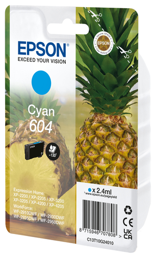 Cartuccia stampante Epson C13T10G24020 604