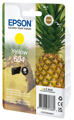 Cartuccia stampante Epson C13T10G44020 604