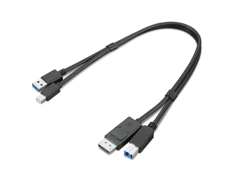 Lenovo Cavo video Mini DisplayPort/DisplayPort Cavo adattatore Lenovo 4X91D11453 THINKSTATION Cavo video Mini Display