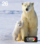 EPSON - Set cartucce stampante Epson C13T26164511 CLARIA Multipack 4 Colori 26