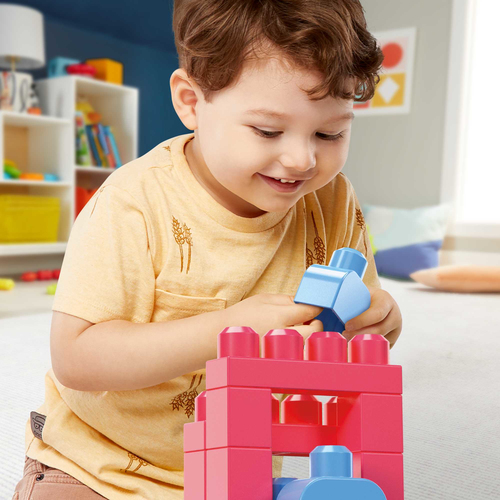 Sacca mattoncini Mega Bloks CYP67 FIRST Assortito