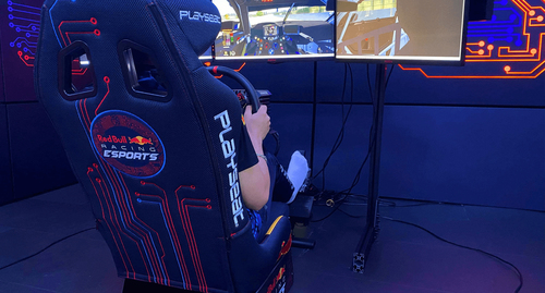 Supporto simulatore guida Playseat RER 00308 Red Bull Racing Esport