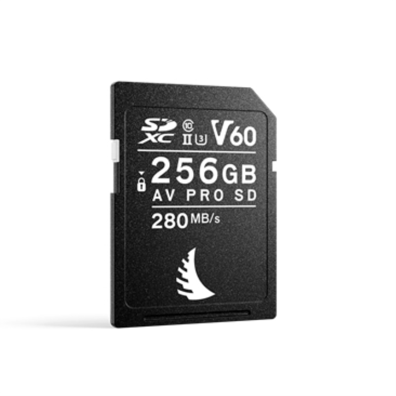 Scheda di memoria Angelbird AVP256SDMK2V60 V60 Pro Black