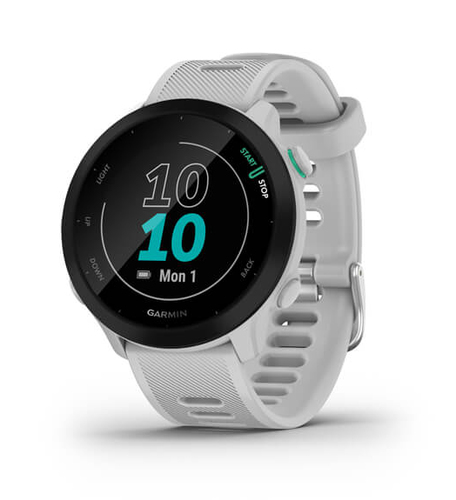 Garmin Forerunner 55 2,64 cm (1.04