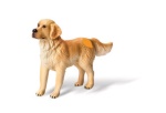 Ravensburger - Ravensburger tiptoi: Golden Retriever, dog, 3 anno/i, tiptoi: farm, Marrone