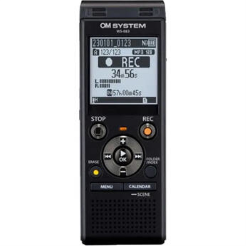 Olympus WS-883 Flash card Nero