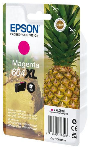 Cartuccia stampante Epson C13T10H34020 604 XL
