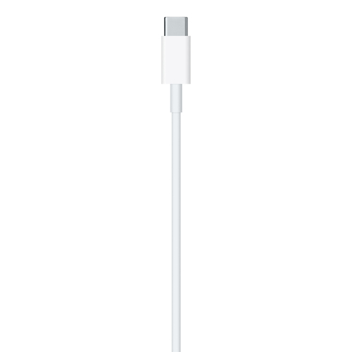 Apple USB C Cavo Lightning Apple MUQ93ZM A USB C White White