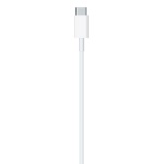 APPLE - Cavo Lightning Apple MUQ93ZM A USB C White White