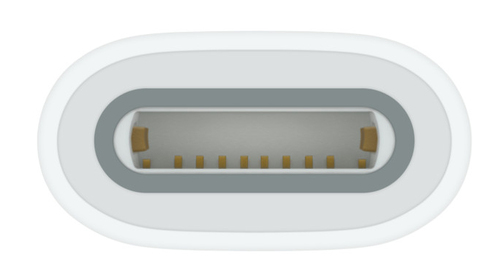 Adattatore computer Apple MWML3ZM A USB C a Apple Pencil White