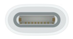 APPLE - Adattatore computer Apple MWML3ZM A USB C a Apple Pencil White