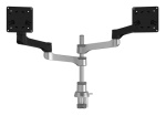 R go Tools - Supporto monitor scrivania R go Tools RGOVLZE4TWSI ZEPHER Double Silve