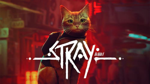 Videogioco Annapurna Interactive SWSW1857 Switch Stray