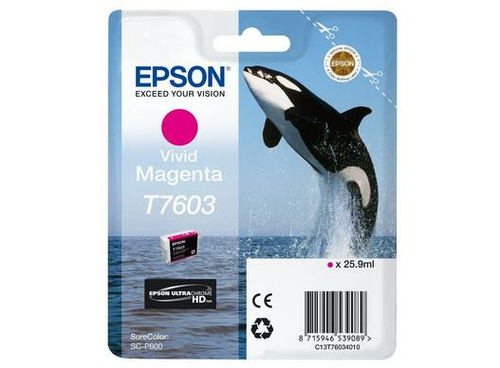 Cartuccia stampante Epson C13T76034N10 ULTRA CHROME T7603