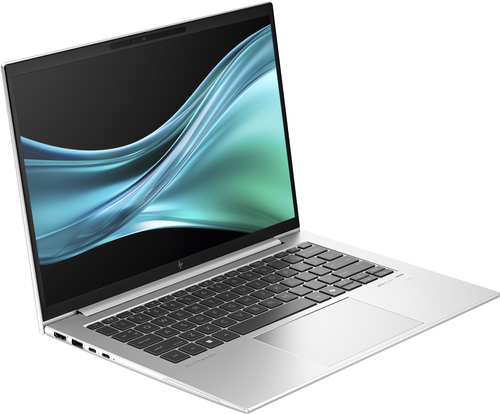 Notebook Hp 9M4F1AT ELITEBOOK 845 G11 Silver