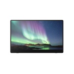 RICOH - Monitor Ricoh 514910 PORTABLE 150BW Black