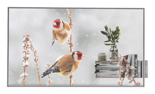 Display professionale Lg 55EW5P M AEU Transparent OLED Signage
