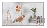 LG - Display professionale Lg 55EW5P M AEU Transparent OLED Signage