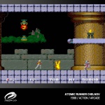 Evercade - Videogioco Evercade 1161594 Windjammers Karnow & Friends