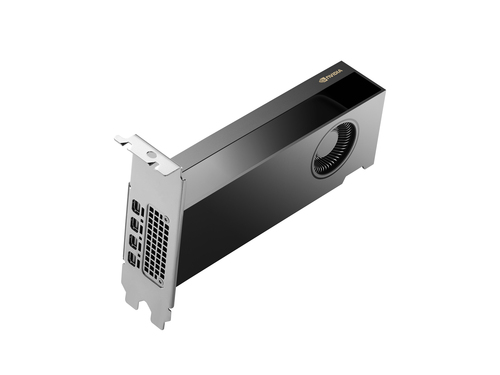 Scheda video Hp 8D6B8AA NVIDIA RTX 2000 4mDP