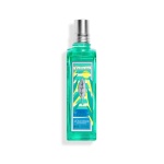 L'Occitane en Provence - Fragranza unisex L'Occitane en Provence Verveine Eau De Toilette 100 m