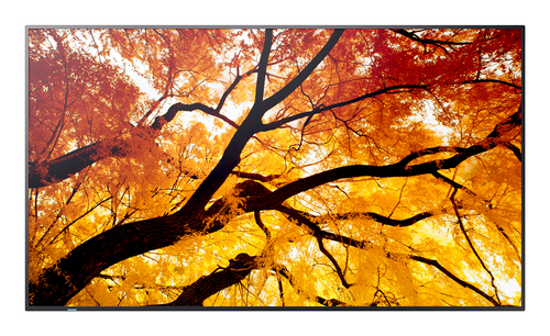 Display professionale Sharp 60006052 MULTISYNC M322 Black