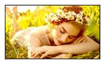 LG - Display professionale Lg 65UL5Q E UL5Q SERIES Signage Black