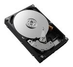Dell - Hard disk interno Dell 161 BCFV