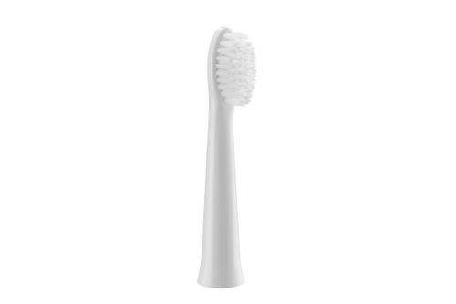 RIC.TESTINE PAN.0972W503
