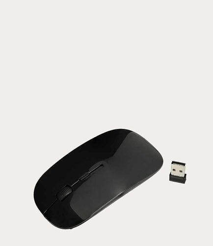 IDEA C/MOUSE NBK 13/14