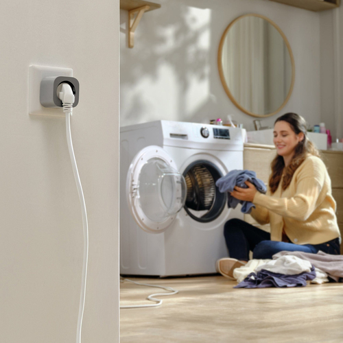 SMART PLUG ECOFLOW