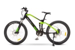 MT DISTRIBUTION - E-BIKE ARGENTO PERFORMANC