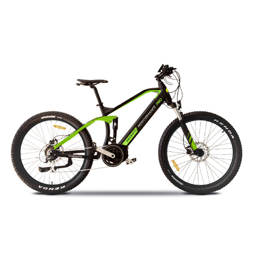 ARGENTO PERFORMANC E-BIKE MONTAIN BIKE PERFORMANCE