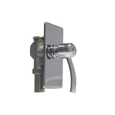 DH 243-C10-05 PASSORAPIDO INCASSO CROMATO